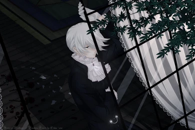 Pandora Hearts   Pandora Hearts Wallpapers (23440696)   Fanpop