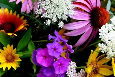 Bouquet Flowers Hd Wallpapers