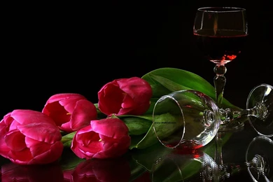 58 Red Flower Hd Wallpaper, Flowers Hd Red Widescreen ...