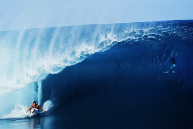Surf Wave Surfing Sport Adrenaline Extreme Hd Wallpapers   (