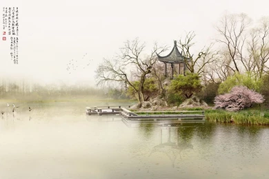 Cup Of Tea Wallpapers