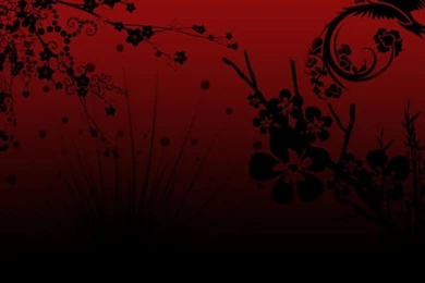 Dark Red And Black Wallpapers