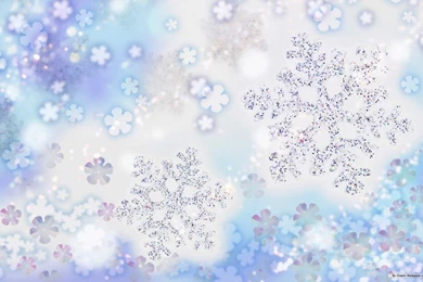 Free Winter Pictures Wallpapers