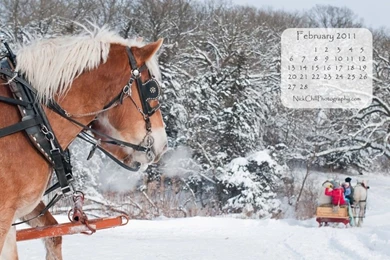 February FREE Desktop Wallpapers Calendar