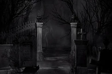 House Of NightRealm Galleries 2