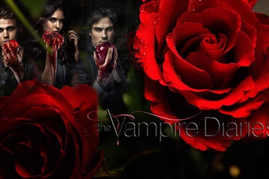 78 The Vampire Diaries HD Wallpapers