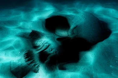 Dreamscene.org   Gallery/Download   Free Dreamscenes, Video Loops ...