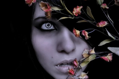 Vampire Computer Wallpapers, Desktop Backgrounds