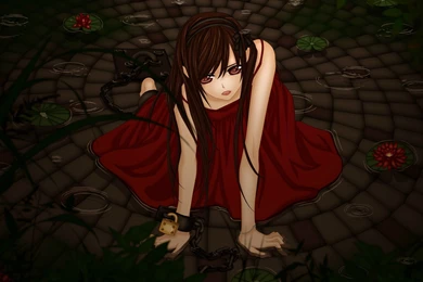 96 Vampire Knight HD Wallpapers