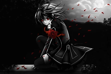 96 Vampire Knight HD Wallpapers