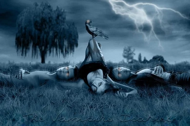 Gernightute: Vampire Diaries Wallpapers