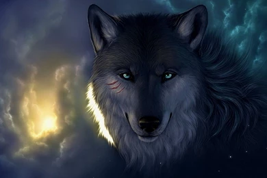 Wolf Computer Wallpapers, Desktop Backgrounds