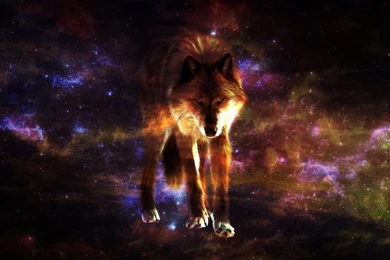 Wolf Wallpapers FREE TO USE By MidnightAngelzz On DeviantArt