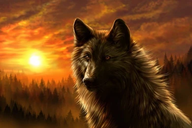 3155) Dark Wolf Beautiful Wallpapers WalOps.com