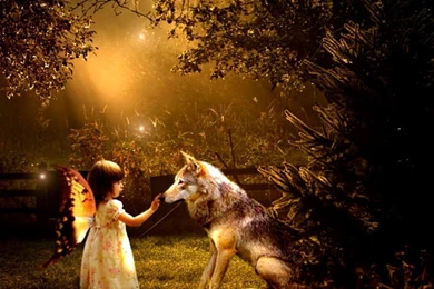Girl With Wolf Wallpapers
