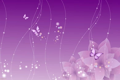 Butterflies   Desktop Wallpapers