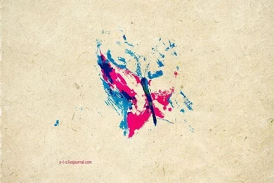 Butterfly Wall Paper Desktop   Wallpapers