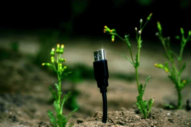 How Science Differs From Technology ?