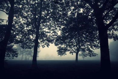 Nature wallpapers_29637_2560x1440.jpg