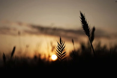 Twitter Backgrounds Wallpapers