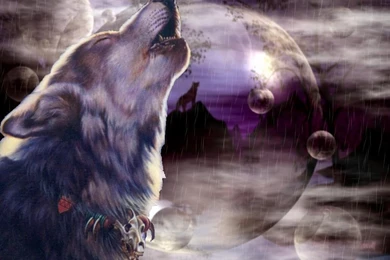 Dodo Wallpapers Download ~ Elrinconcitodemaya