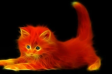 Wallpapers 155   1600 X 900 HDTV Wallpapers   Wallpapersense