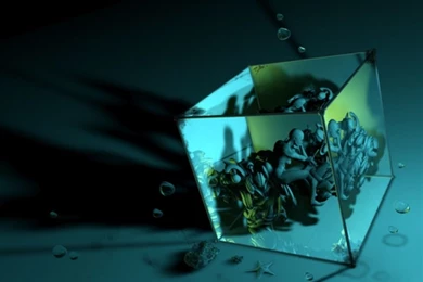 Love Rose Wallpapers