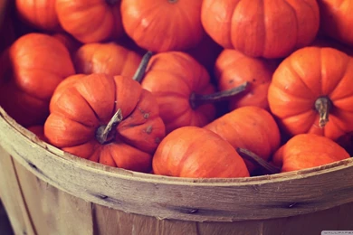 Basket Full Of Pumpkins HD Desktop Wallpapers : High Definition ...