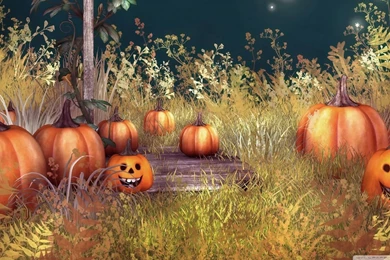 Halloween Pumpkins HD Desktop Wallpapers : High Definition : Mobile ...