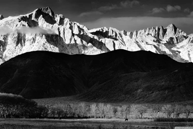 Black And White Winter Landscape HD Desktop Wallpapers : Mobile ...