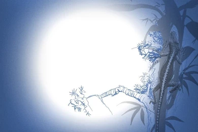 DeviantArt: More Like Nujabes Wallpapers By Nuhmocuh