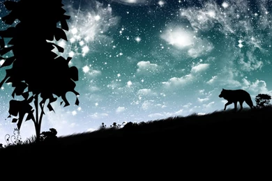 Wolves ♥ ~   Wolves Wallpapers (10291328)   Fanpop