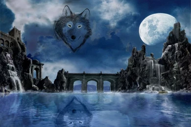 Wolves ♥ ~   Wolves Wallpapers (10291335)   Fanpop