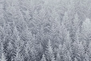 Christmas Wallpapers On Pinterest