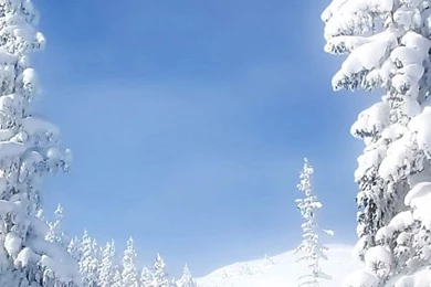 Search   All Page   18