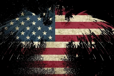 Eagle USA Flag Wallpapers   Digital Art Wallpapers