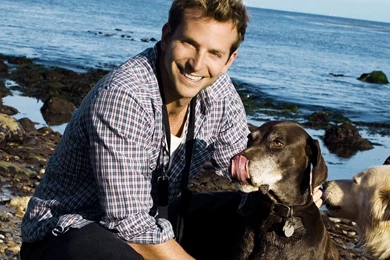 Download Wallpapers 1280x1024 Charles Bradley Cooper, Bradley ...