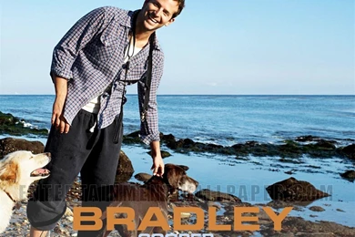 Bradley_cooper Bradley Cooper Wallpapers (23904577) Fanpop