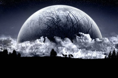 Spyro, Sparx And Cynder Under The Moon [Wallpaper] By RepTituz On ...