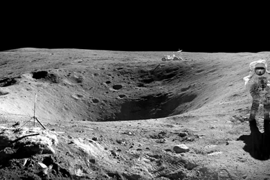 Cloudy Moon Through Trees [1920x1080] [OC] : Wallpapers