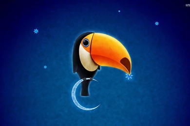Toucan On The Moon Wallpapers   Artistic Wallpapers