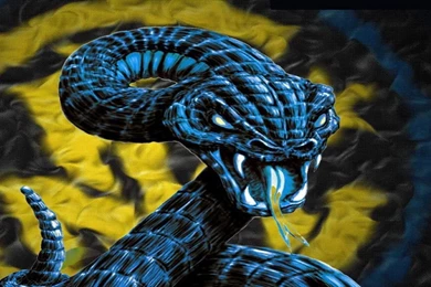 Snake Wallpapers 3399 Wallpapers HD   Wallnos.com