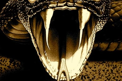 Viper Snakes Wallpapers Free Android Application Createapk.com