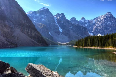 Wallpaper Backgrounds For Iphone 949