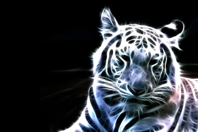 Tigers background.jpg