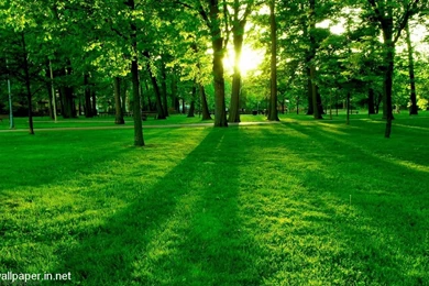 Nature Wallpapers Archives   Page 2 Of 11   Free Desktop ...