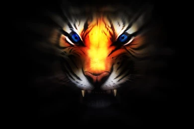 30 Animated Tiger Wallpapers Pictures