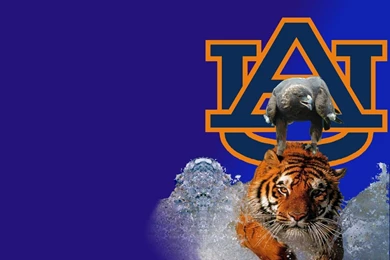Auburn Tigers Wallpapers   HD Wallpapers Lovely