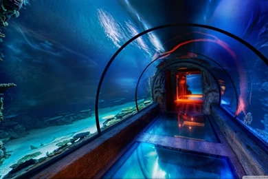 Underwater Passage, Las Vegas HD Desktop Wallpapers : High ...