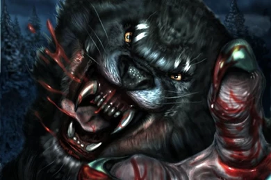 Werewolf Wallpaper Backgrounds